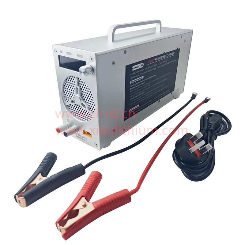 Cargador Rápido DDP de 3000W c - Chargers reseña y precio